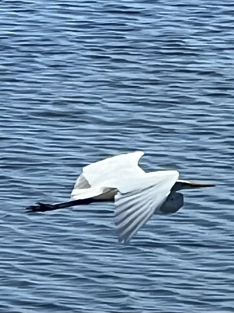 Town Of Palm Shores Shoreside Park Image