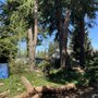 Photo of T&S Tree Care