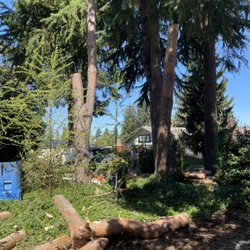 T&S Tree Care