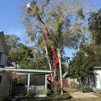Walkers Landclearing & Tree Services - Tree Services Near Me Walkers Landclearing & Tree Services - Tree Services Near Me