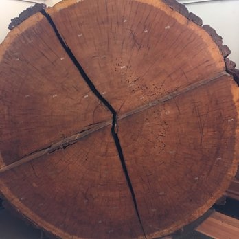 Musée Redpath - You can see the years write on it - Museums Near Me - Montreal, Quebec