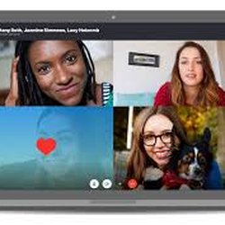 Mighty Acorn Coaching - Virtual Sessions- Get help wherever you are!
