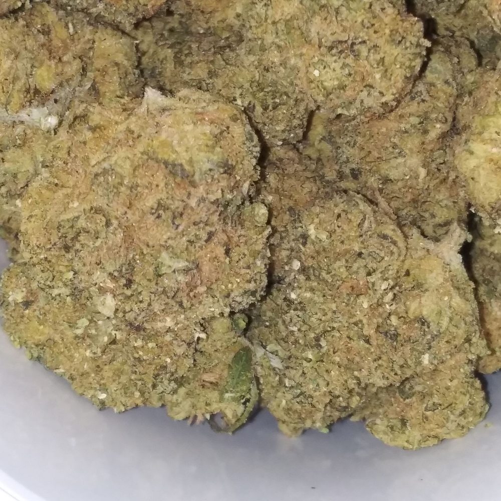 The Buzz Dispensary - moldy buds from the buzz.. selling this to med patients - Cannabis Dispensaries Near Me - Pueblo West, Colorado The Buzz Dispensary - moldy buds from the buzz.. selling this to med patients - Cannabis Dispensaries Near Me - Pueblo West, Colorado
