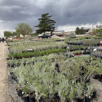 Plant World - Xeriscape - Nurseries & Gardening Near Me - Albuquerque, New Mexico