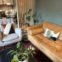 Seed Coffee Co - Couches