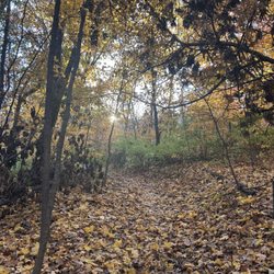 Maple Woods Natural Area