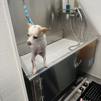 Barks & Bubbles - Self Wash and Supply - Pet Stores Near Me - Whittier, California