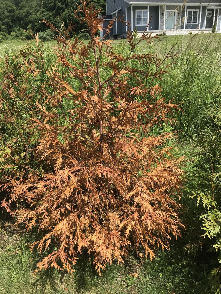 GRAND ISLE NURSERY with photos Updated August 2024 10 Photos & 10