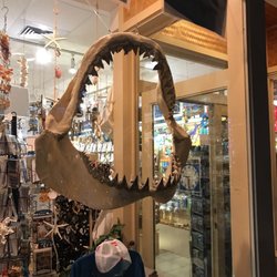 Pacific Nature - Jaws