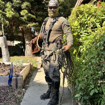 Tzuban Tree Services - Chris from Tzuban Tree - Tree Services Near Me