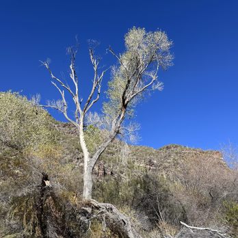 Sabino Canyon - Parks Near Me - Tucson, Arizona Sabino Canyon - Parks Near Me - Tucson, Arizona