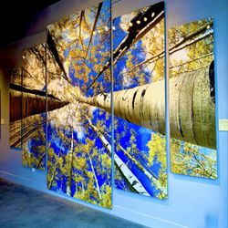 Ian Ely Gallery - Towering