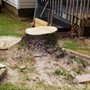 Photo of Tommy Lowery Tree Service