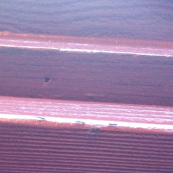 El Torito - Disgusting ants... - Mexican Near Me - Milpitas, California