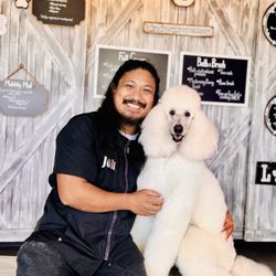 A Clip Above - Upscale dog grooming in Centennial, CO with highly trained certified groomers, advanced education and exceptional personalized pet care.