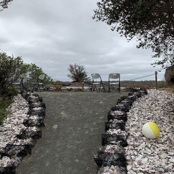Melshell Oyster Shack - Seafood Near Me - Dolphin Sands, TAS