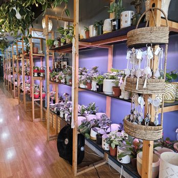 Lets Plant It - Inside wall - Nurseries & Gardening Near Me - Melbourne, Florida