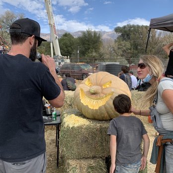 Hee Haw Farms - Carving pumpkins - Attraction Farms Near Me - Pleasant Grove, Utah
