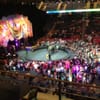 Ringling Brothers: Built To Amaze gift card