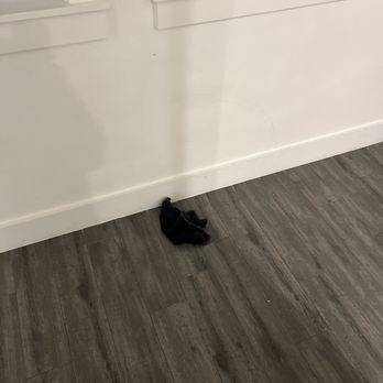 BeachBox Vacation Rentals - Trash in the floor was like this in every room - Vacation Rentals Near Me - Galveston, Texas