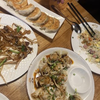 Hot Dumplings - Pan fried beef and onion dumplings and wontons - Dim Sum Near Me - Lake Forest, California Hot Dumplings - Pan fried beef and onion dumplings and wontons - Dim Sum Near Me - Lake Forest, California