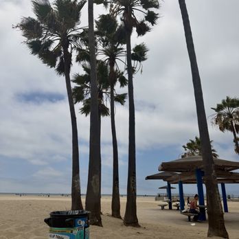 Venice Beach - Beaches Near Me
