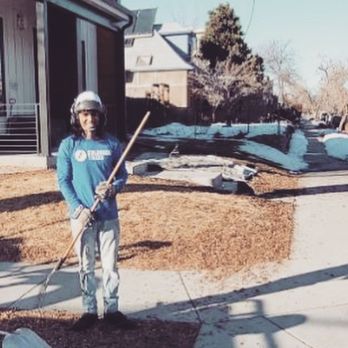 Colorado Trees - our team is the best! - Tree Services Near Me