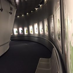 Omnimax Theatre
