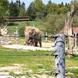 Tiergarten & Reiterhof Walding