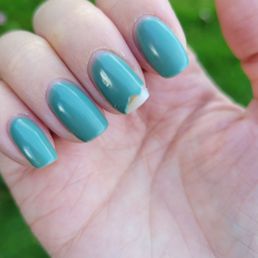 7days of shellac 7days of shellac