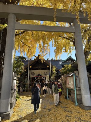 Namiyoke Shrine by null