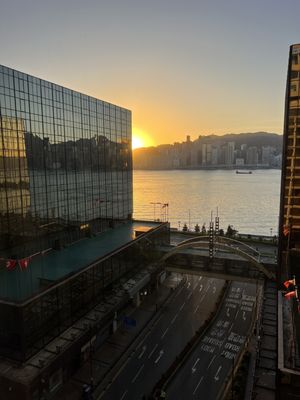 The Royal Garden by null