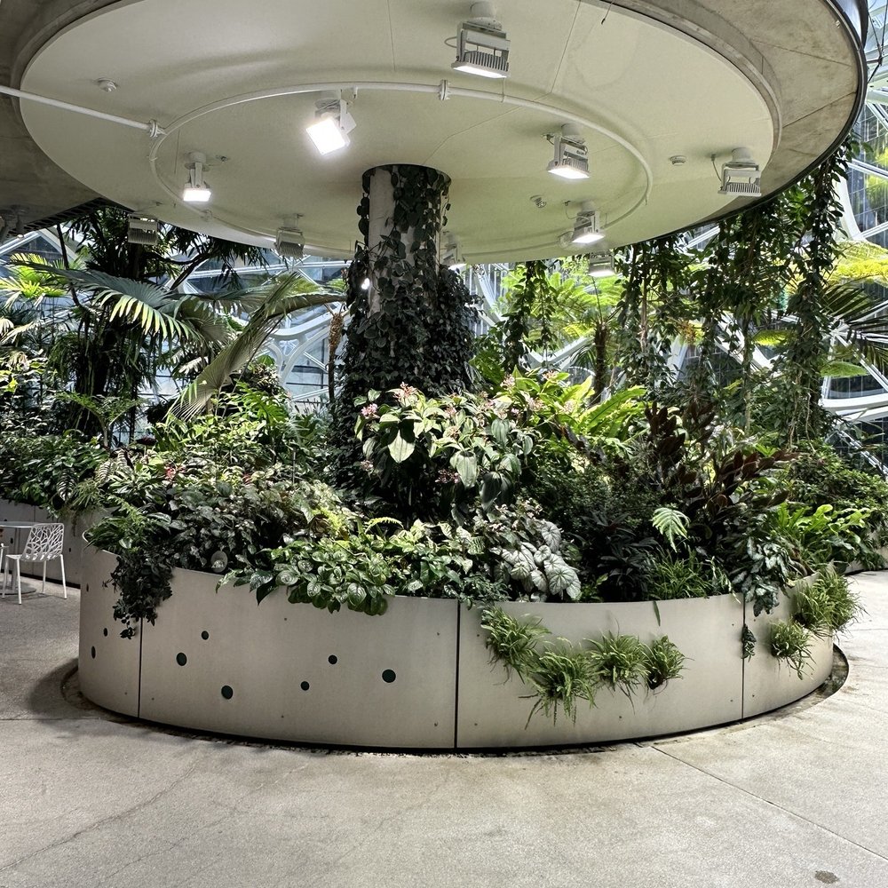 Amazon Spheres - Botanical Gardens Near Me - Seattle, Washington