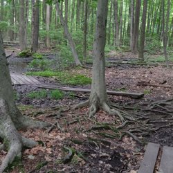 Five Mile Woods Preserve Headquarters