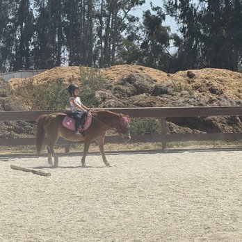 Jeanette Arnaout Training - Horseback Riding Near Me - Gilroy, California Jeanette Arnaout Training - Horseback Riding Near Me - Gilroy, California