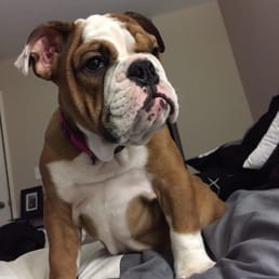 Our beautiful Elsa (Maci) Our beautiful Elsa (Maci)