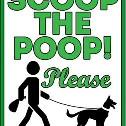 Shorty's Pit Crew - Call for your weekly pooper scooping services today!