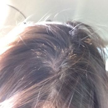 Salon 705 - Breakage!!!! - Hair Salons Near Me - Brandon, Florida Salon 705 - Breakage!!!! - Hair Salons Near Me - Brandon, Florida