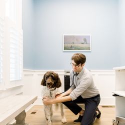 Simmons Veterinary Clinic - Dr. Chris and Bennie in the Bennie Suite