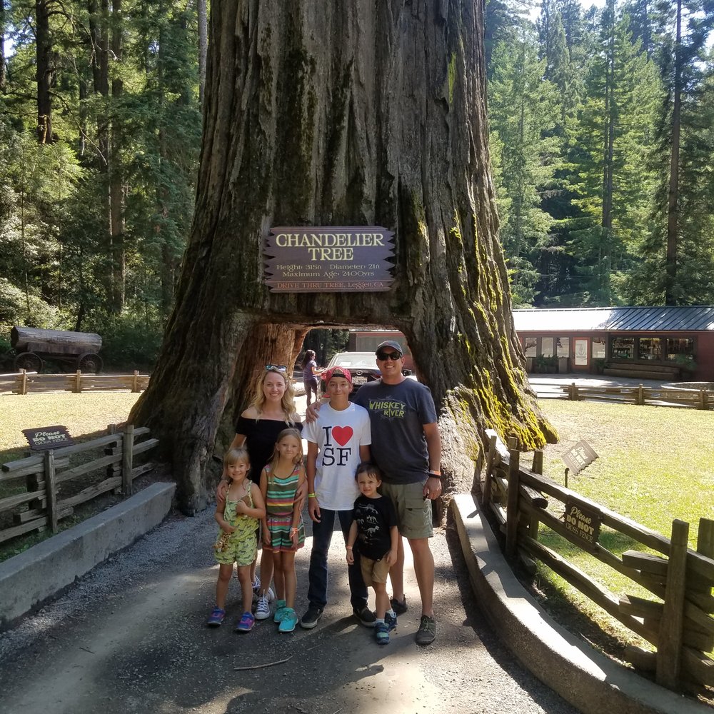 Wander Joy Vacations - The famous drive thru tree in the Redwoods - Travel Agents Near Me - Anaheim, California Wander Joy Vacations - The famous drive thru tree in the Redwoods - Travel Agents Near Me - Anaheim, California