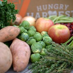 Hungry Harvest - All Types of Produce