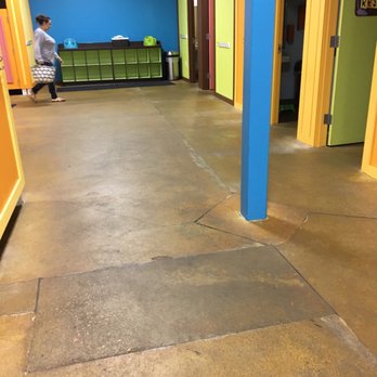 Goldfish Swim School - Canton - Swimming Lessons/Schools Near Me - Canton, Michigan Goldfish Swim School - Canton - Swimming Lessons/Schools Near Me - Canton, Michigan