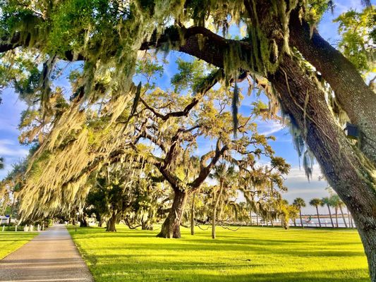 Jekyll Island by null