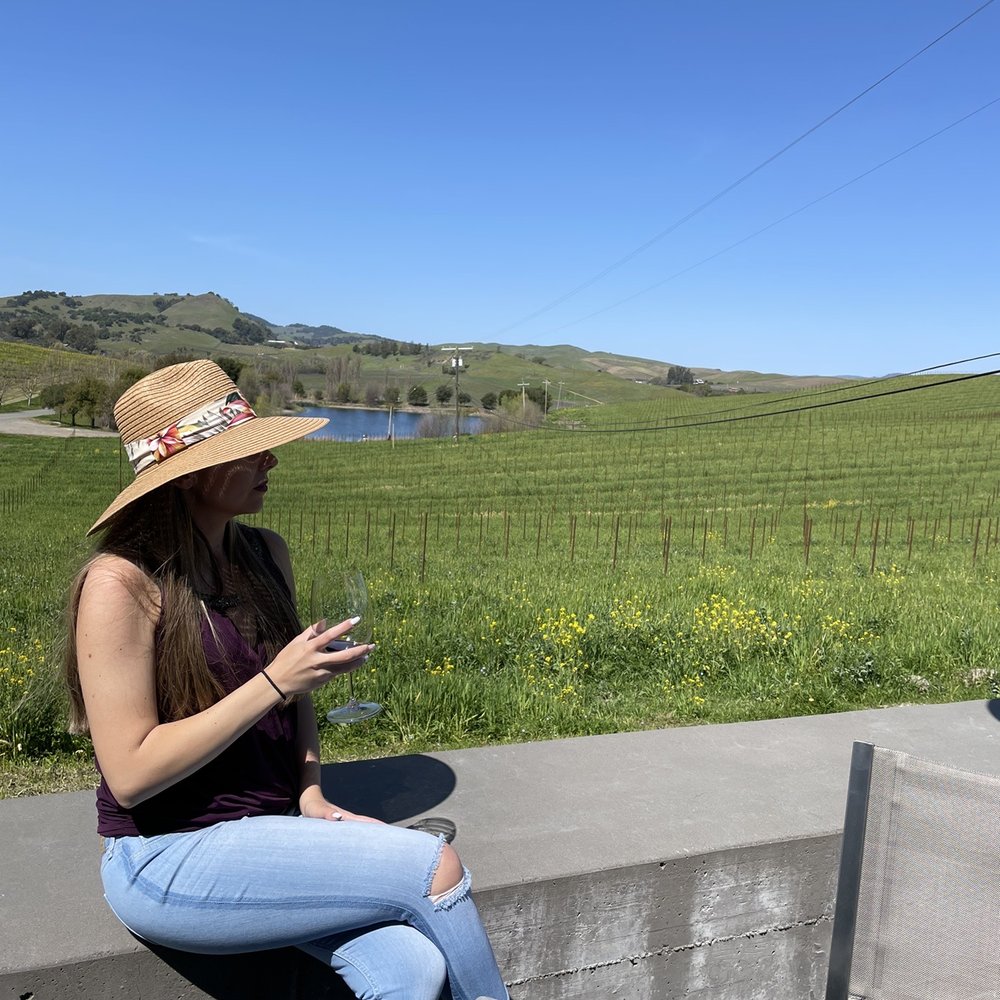 Cuvaison - This view - Wineries Near Me - Napa, California Cuvaison - This view - Wineries Near Me - Napa, California