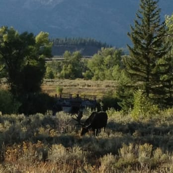 Photos For Dornan S Spur Ranch Cabins Yelp
