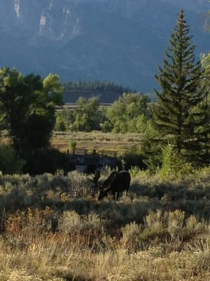 Spur Ranch Cabins by null