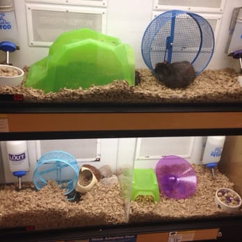 Petco - Pet Stores Near Me - Birmingham, Alabama Petco - Pet Stores Near Me - Birmingham, Alabama