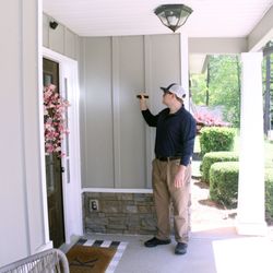 PestNow - Termite Inspection