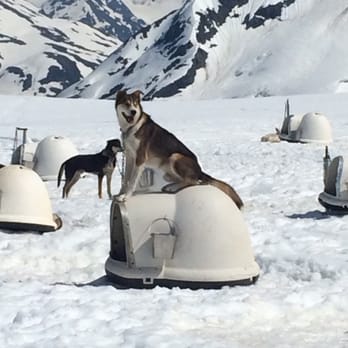 Alpine Air Alaska - Tours Near Me - Girdwood, Alaska