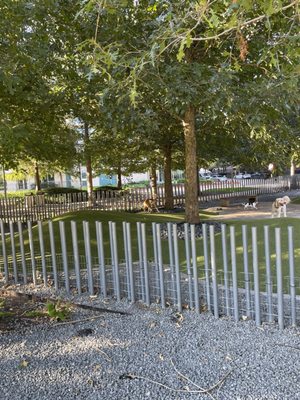 Levy Park by null